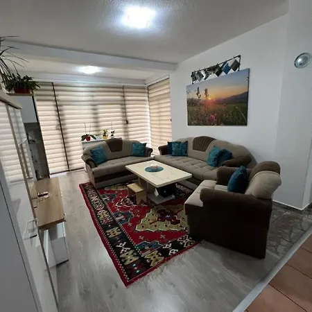 Apartment Teal *